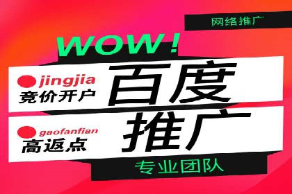 百度推广实战：案例分析与优化技巧